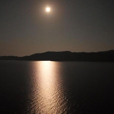 Beach Villa Ratac Slano Εξωτερικό φωτογραφία