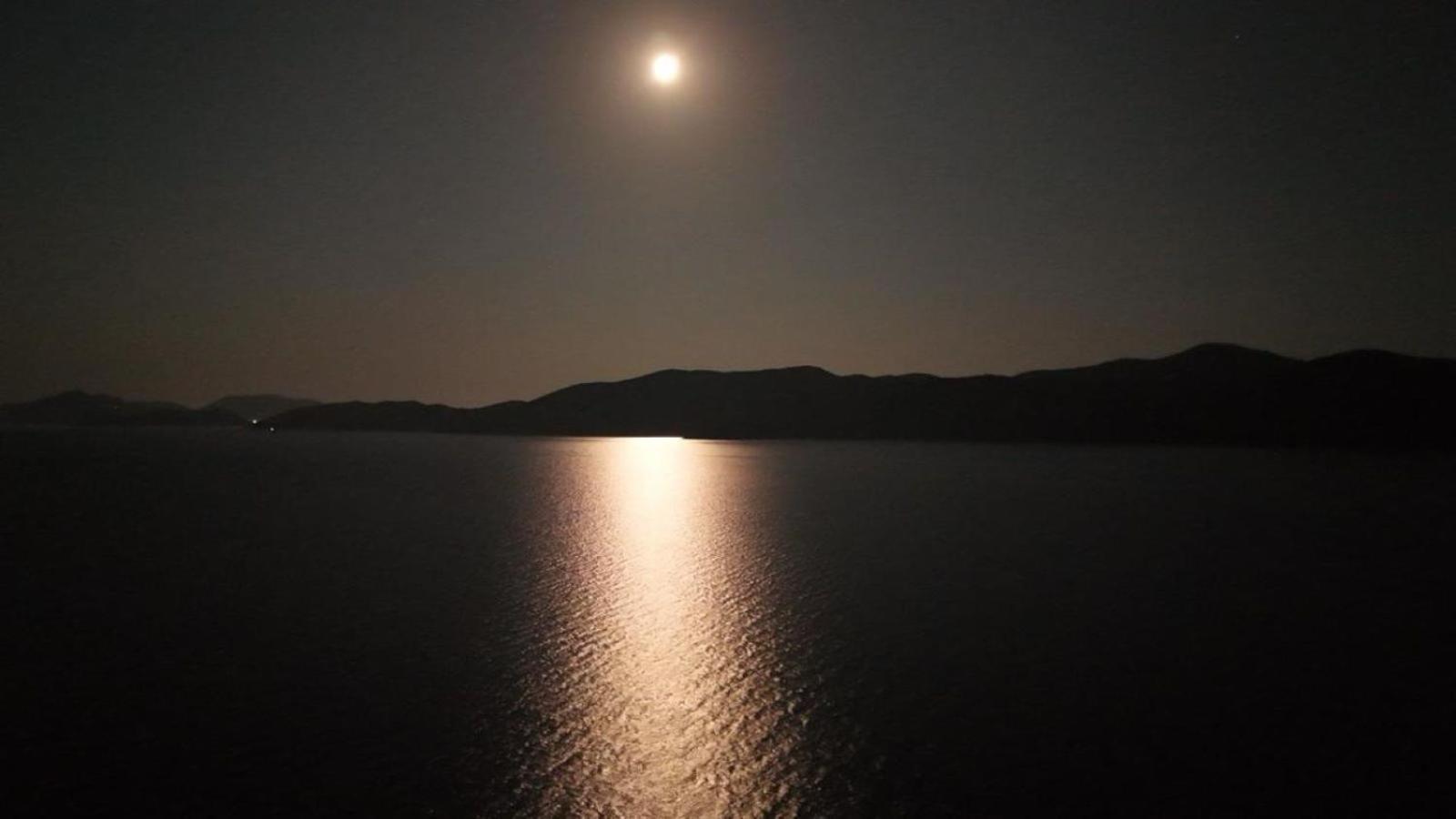 Beach Villa Ratac Slano Εξωτερικό φωτογραφία